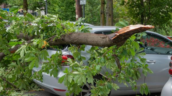 为什么汽车保险公司正在离开一些州