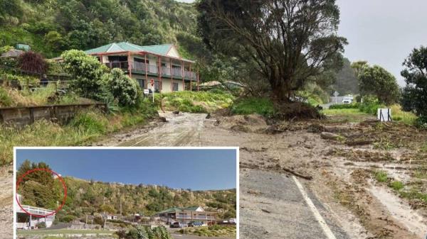 一棵大树从马希亚河岸滑下，停在路中间——仍然屹立着