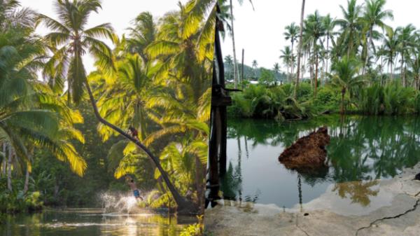 Siargao著名的弯曲棕榈树倒塌了