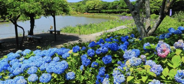 南乐园：了解四国最大的花园有哪些