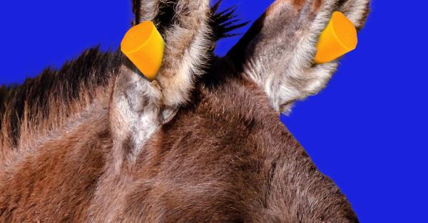 为什么民主党的基础正在被侵蚀？_2